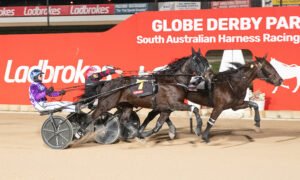 Two harness horses race side by side to the finish line at Globe Derby Park at night